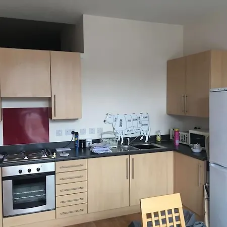 Fantastic West London Loft Apartment-2