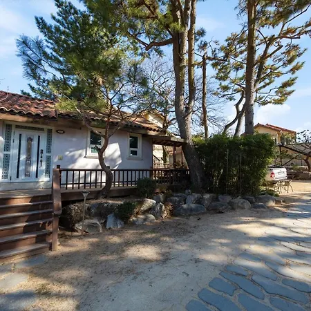 Clear Morning Pet Friendly Pension-3