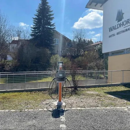 Hotel Waldhorn-3