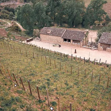 Eco Hotel Cueva Del Gato-3