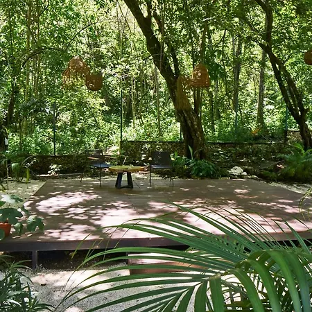 NATURA Loft Garden-3