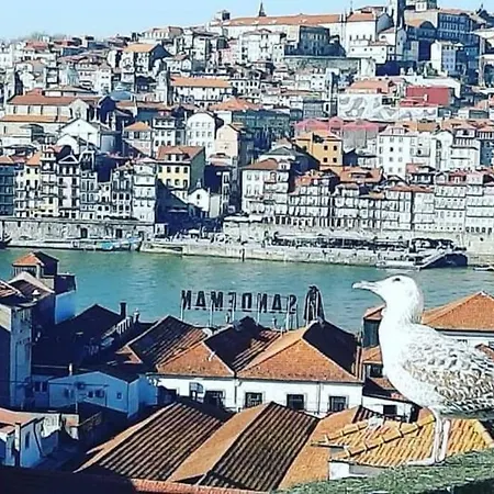 Best View Douro Porto Penthouse-3