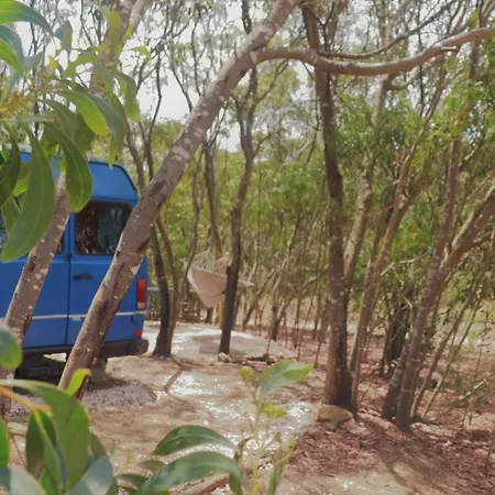 Soul Farm Algarve - Glamping & Farm Houses-3