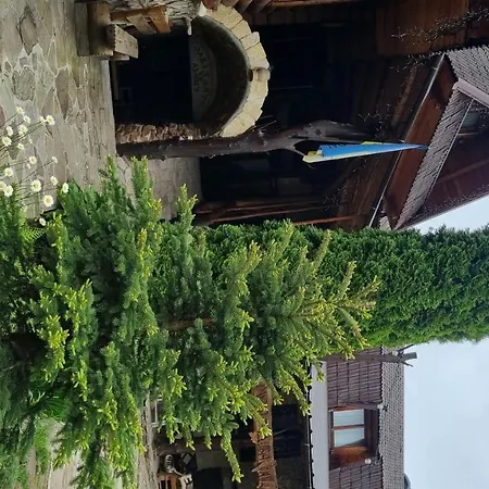 Muzey-Sadyba Grazhda-2