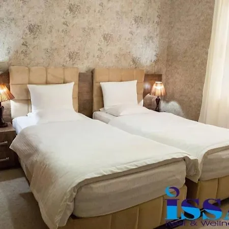 Issam Hotel & Spa Sheki-2