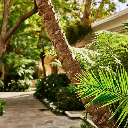 Hotel Bel-Air - Dorchester Collection-2