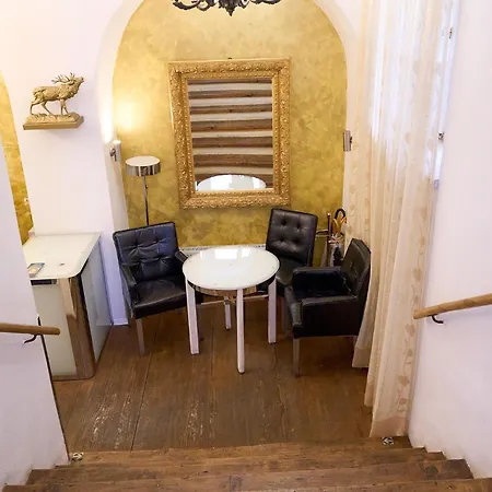 Hotel U Zlateho Jelena-3