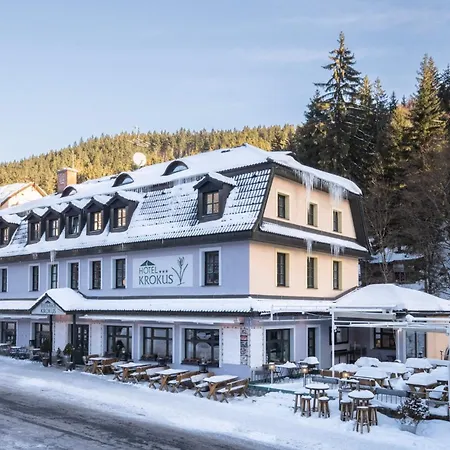 Hotel Krokus-2