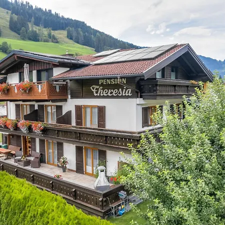 Pension Theresia-2
