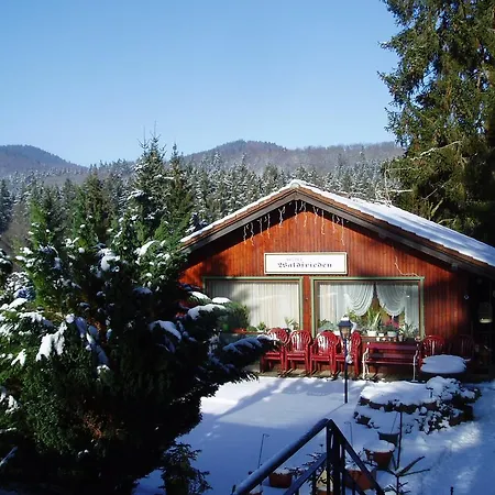 Ferienhotel Waldfrieden-2