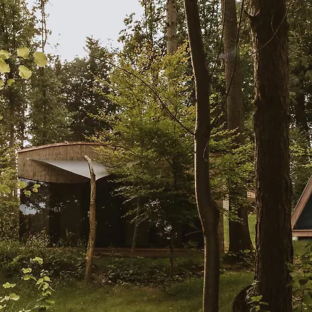 Forest Camping Resort Blagus-3