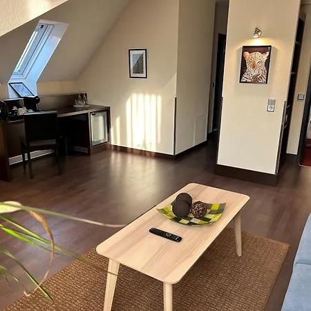 Villa Hotel Frankfurt By Mz Hotelcollection-3