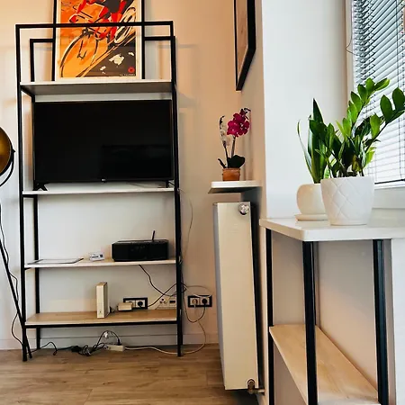 Lazienki Krolewskie Studio Z Antresola I Widokiem-2