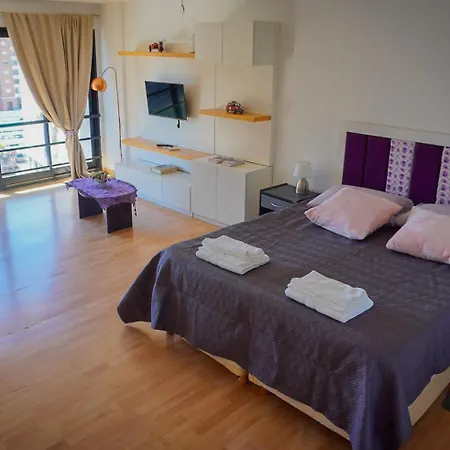Apartamento Amoblado Tipo Loft-3