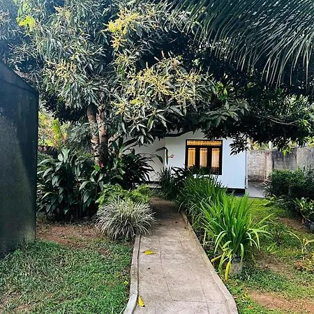 The Mango Retreat-2