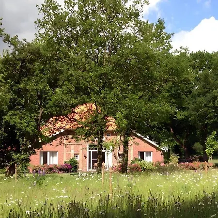 Appealing Apartment In Westerstede-3