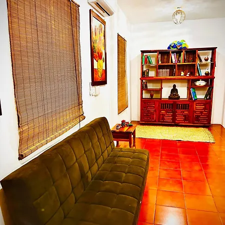 La Casa De Colores Ocean View-3