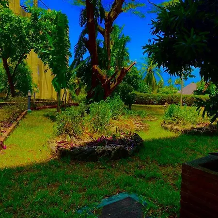 Beachfront Bliss Villa-2