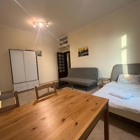 Private Big Hall Room And Washroom In Shared Apartment 1301-3