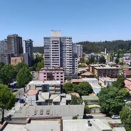 A Pasos De La Udec Y Centro-2