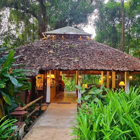 Fern Resort Mae Hong Son-3