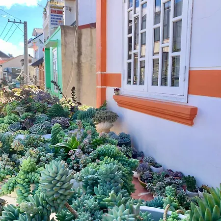 Homestay Ahihi Da Lat-3