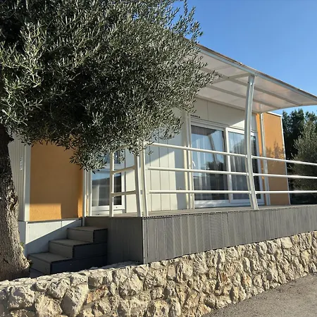 Camp Milo Moje-2