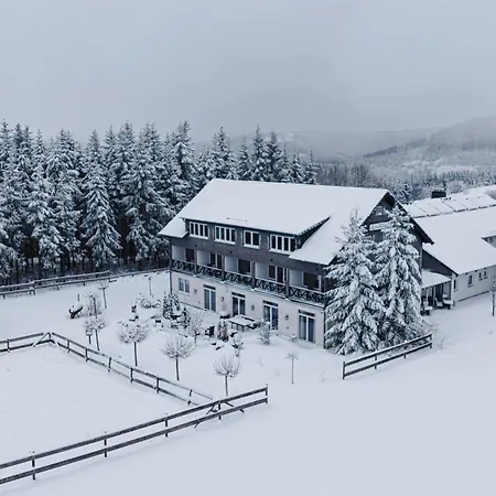 Wittgensteiner Landhaus Winterberg-3