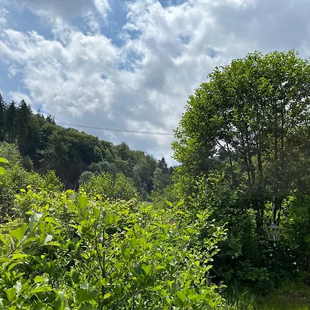 Hotel zum Forsthaus-3