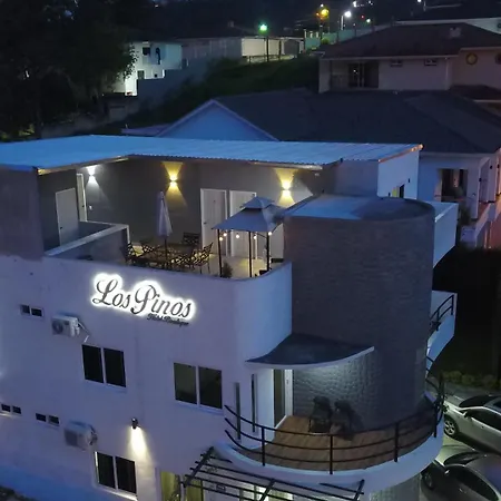 Hotel Boutique Los Pinos-3