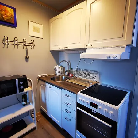 Abisko Guesthouse & Activities-2