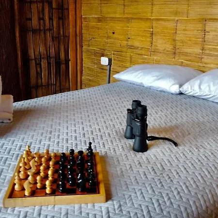 Glamping & Eco-Cabanas Salento Hakuna Matata Timon-3