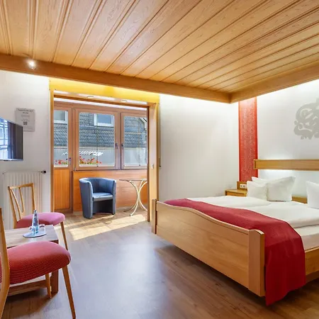 Hotel Sauerländer Hof-3