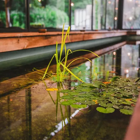 Utopia Hotel - Art&Nature Hotel-2