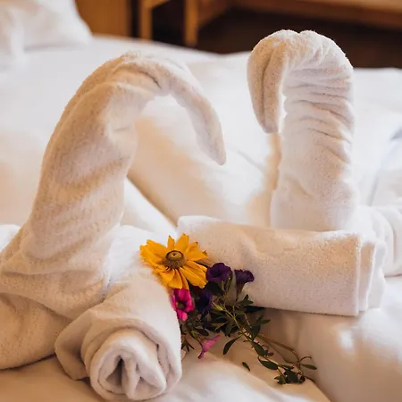 Aparthotel Maso Corto-2
