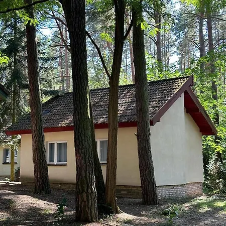 Summer House-3