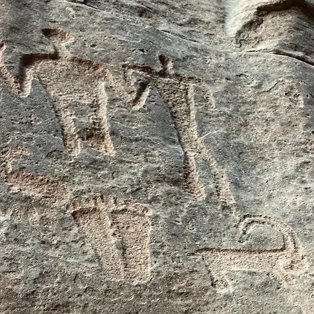 Bedouin Tours Camp-3
