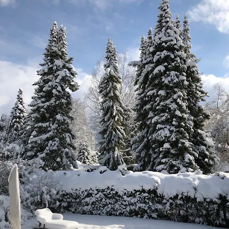 Traumhaftes Ferienhaus direkt am Tegernsee-3