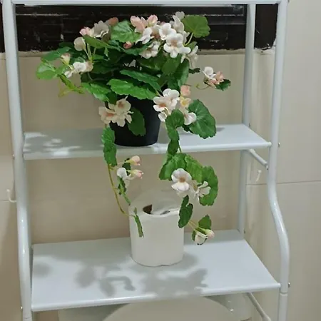 Private Room In Shared Apartment-3