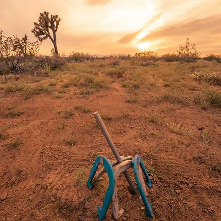Coyote Tracks - A Modern Desert Experience-3