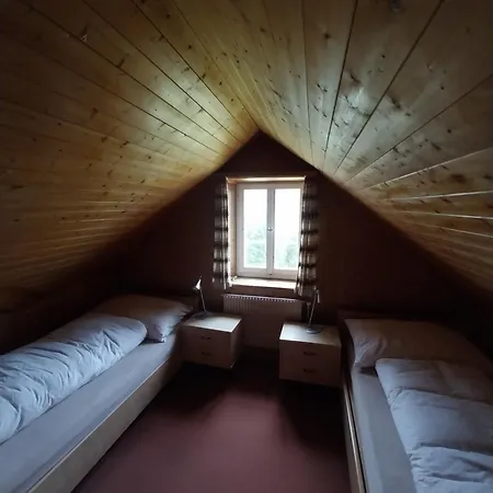 Hotel Alpina-3