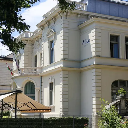 Alice Hotel-3