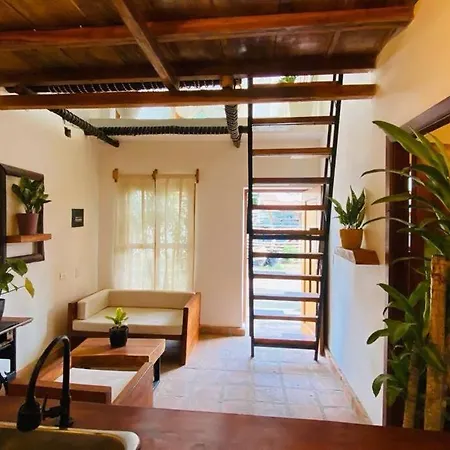 Apartamento Moderno Pardo 1945-2