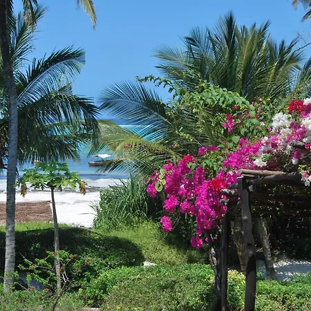 Fully Private Villa 390Sqm Zero Minutes To Beach Matemwe Kigomani-3