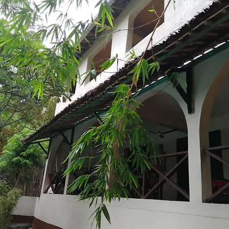 Sunset Villa'S Tropical Garden House-3