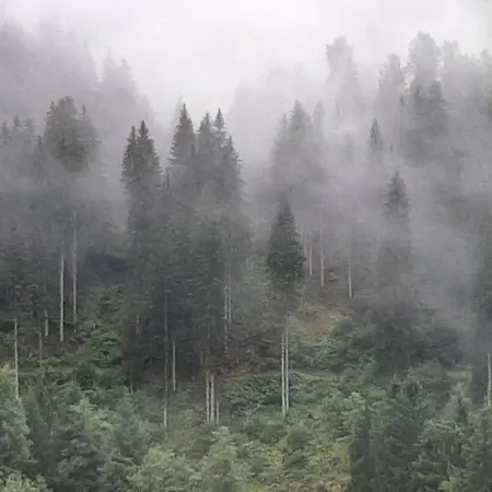 Hotel Buckelhof - See - Free Liftpass Summer-2