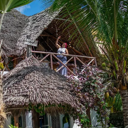 Beachhouse With Ac, Wifi, Generator Breakfast Incl-2