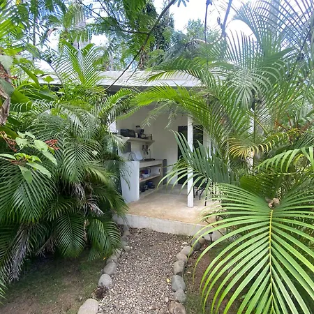 Jungle Apartment With Bathtub And Outdoor Shower-2