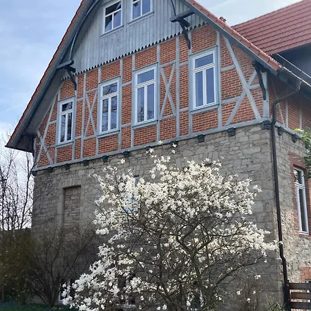 Stadt-gut-Hotel Hoffmanns Gästehaus-3