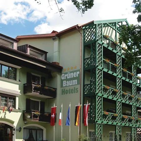 Hotel Grüner Baum-3